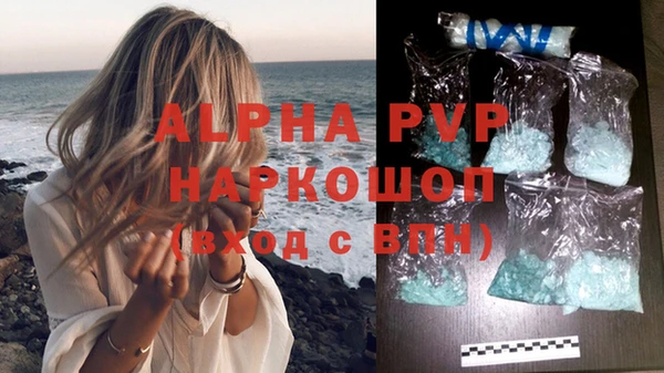 ПСИЛОЦИБИНОВЫЕ ГРИБЫ Няндома