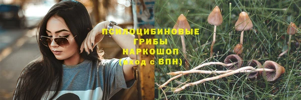 индика Рославль