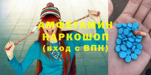 индика Рославль